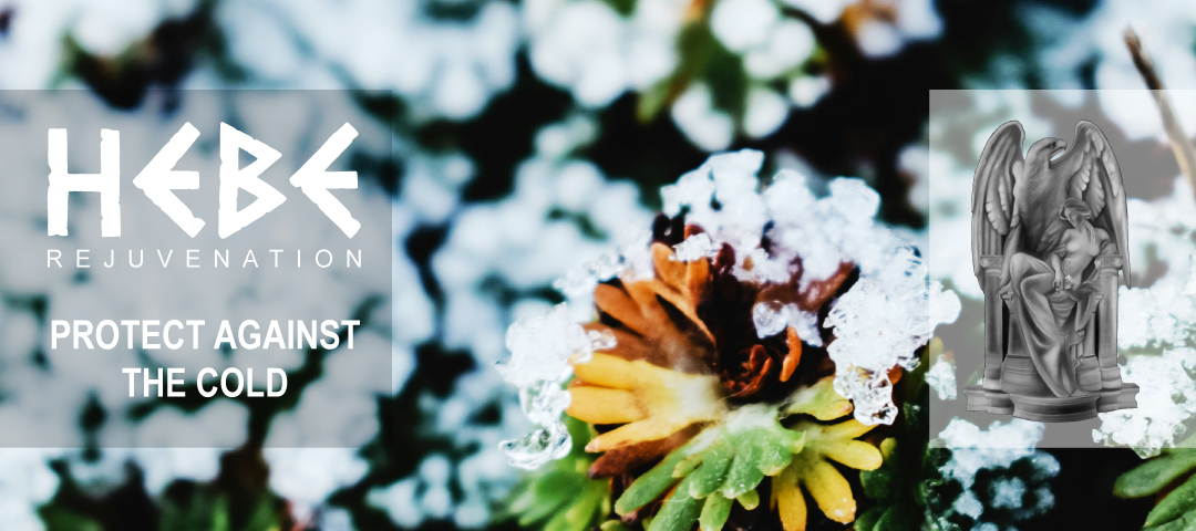 The effects of cold temperatures on the skin and hair