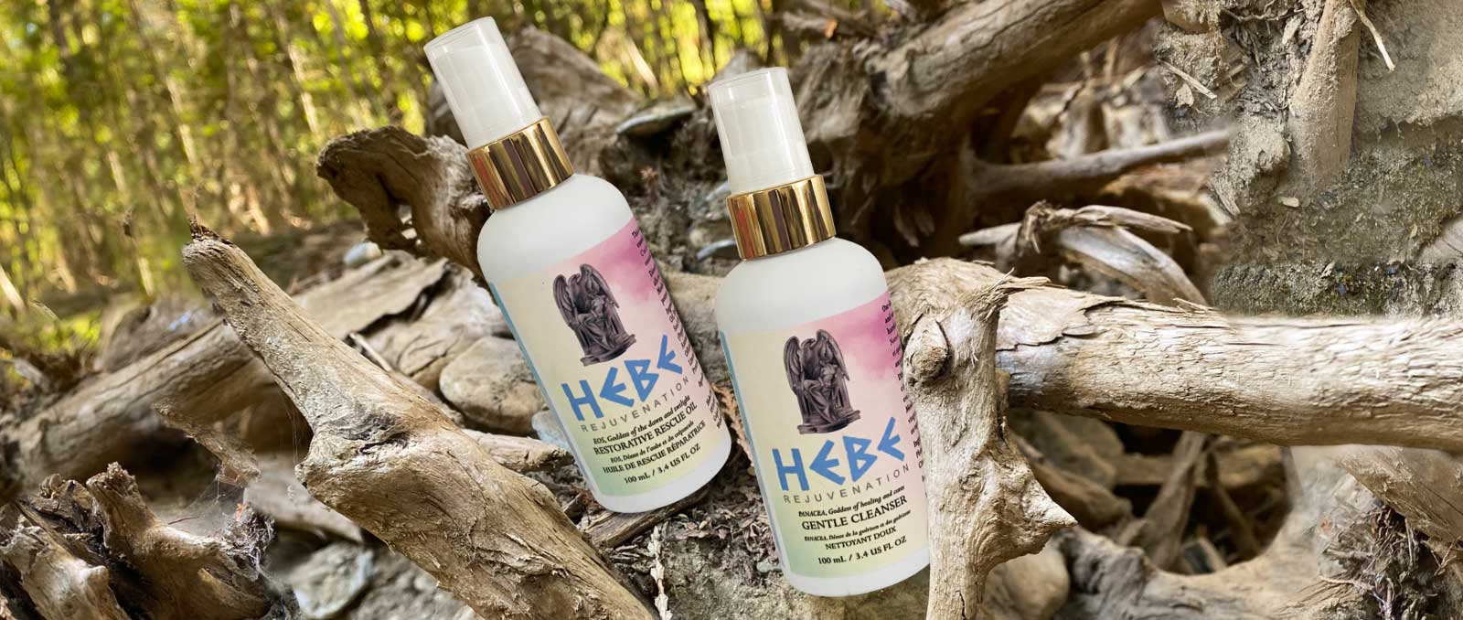 2-oils-on-a-twisted-stump-for-contact-page 2-oils-on-a-twisted-stump