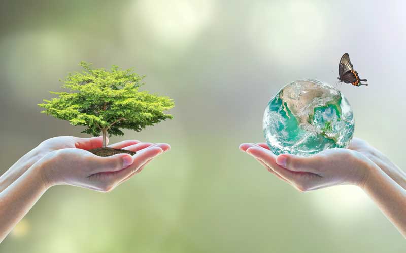 environmental wellness